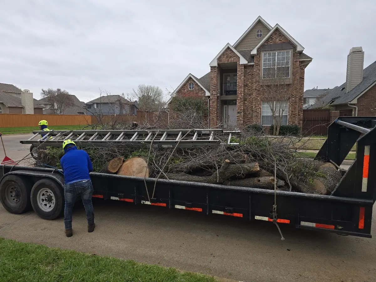 Expert Lot Clearing with proper safety equipment in Thrall